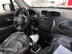 
										Jeep Renegade 1.6 mjt Limited 2wd 130cv pdc cerchi17 APPLE CAR PLAY completo									