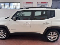 
										Jeep Renegade 1.6 mjt Limited 2wd 130cv navi grande apple car completo									