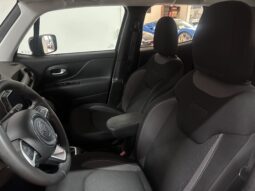 
										Jeep Renegade Renegade 1.6 mjt Limited 2wd 130cv completo									
