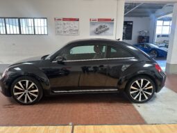 
										Volkswagen Maggiolino sport cambio dsg pelle cartie cerchi in lega 19 completo									