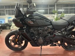 
										Harley-Davidson Pan America standard scarico e tris borse alluminio km 18500 completo									