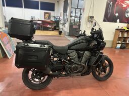 
										Harley-Davidson Pan America standard scarico e tris borse alluminio km 18500 completo									