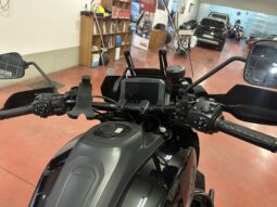 
										Harley-Davidson Pan America standard scarico e tris borse alluminio km 18500 completo									