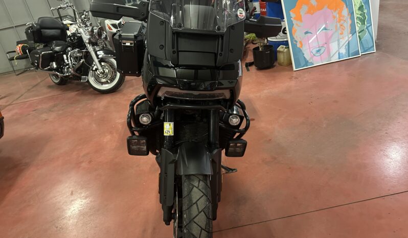 
								Harley-Davidson Pan America standard scarico e tris borse alluminio km 18500 completo									